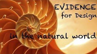 The Evidence of Design in Nature that Evolutionist can't explain away!