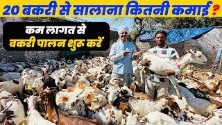 1 साल में 20 बकरी से कितनी कमाई Barbari Goat Farming In India