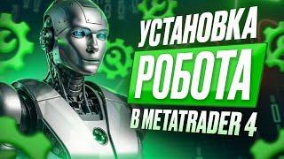 Как правильно устанавливать робота в MT4. Что такое VPS-сервер и для чего он нужен