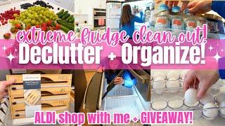 Extreme Fridge Clean Out Organize! Aldi Grocery Shop With Me! Kitchen Declutter Organize With Me