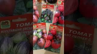 Томаты 2023 Коллекционные сорта томатов для открытого и закрытого грунта