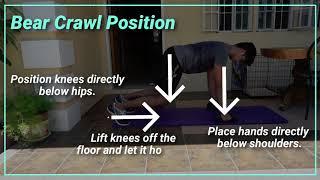 BEAR CRAWL ROWS || Exercise Demonstration for Online Personal Training ||