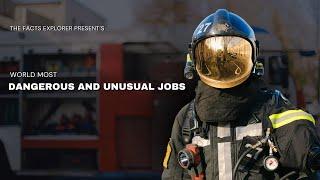 Most Dangerous and Unusual Jobs in The World | The Facts Explorer |