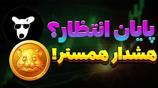 مهمپایان انتظار فروش داگز | نکات کلیدی | dogs telegram