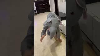 Hathi Raja #shorts #nurseryrhymes #comedyvideos #cocomelon #hathiraja #hathirajakahanchale