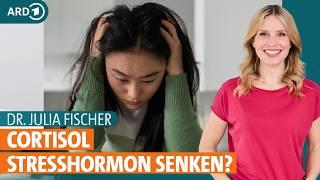 Cortisol senken: Tipps zu Ernährung und Übungen gegen Stress | Dr. Julia Fischer | ARD Gesund