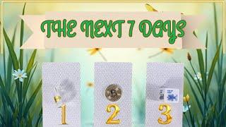 The Next 7 Days Predictions Pick A Card