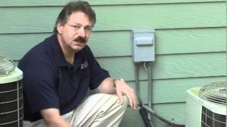 Pest prevention tips part 1 -Rose Pest Solutions