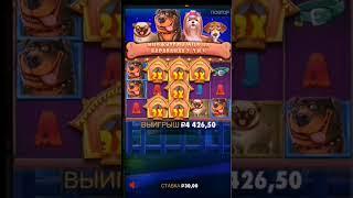 бонус в The dog house #casino #doghouse #занос