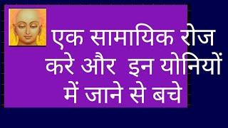 एक सामायिक रोज  करे और  इन योनियों  में जाने से बचे