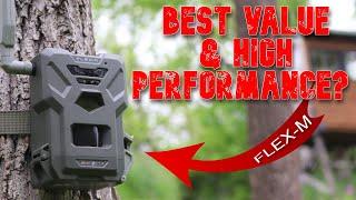 Spypoint FLEX-M Cellular Trail Camera: Best Value $79.99 Dual-Sim 28MP GPS Field Test Review