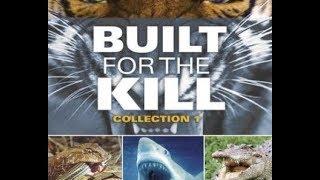 Built for the Kill Killer - CANINES - Full Documentary.