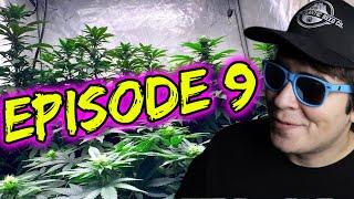 RAISING RH IN FLOWER FOR JOHNNY DANG & BLUEBERRY ORGANIC INDOOR GROW | GROW & JOE: EPISODE 9