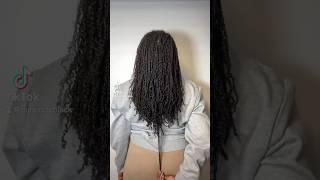 MINI TWIST MOISTURE + STRETCH ROUTINE ON TYPE 4 HAIR #shorts #minitwists #minitwist #naturalhair