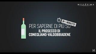 Video tutorial – DOCG PROSECCO DI TREVISO - VENETO