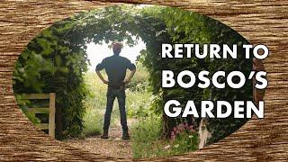 Return To Bosco's Garden | Taming the Food Forest