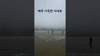 6월 18일 해무 낀 다대포 #다대포#해수욕장#해무#부산바다#오늘날씨
