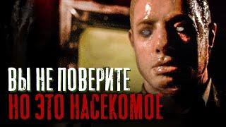 Треш обзор фильма Мутанты 2  - Жуки притворяются людьми