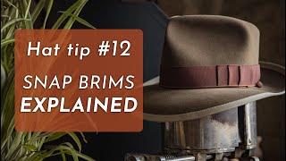 What is a SNAP BRIM?