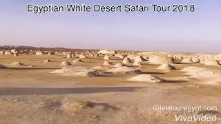 Egypt White desert Safari Tour