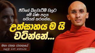 339. උත්සාහය ම යි වටින්නේ | මහා ජනක ජාතකය 1 | 2024-05-07