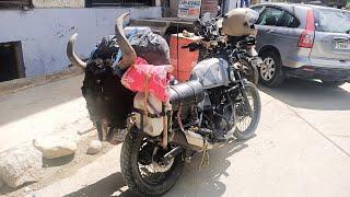 Ladakh: hacia las carreteras más altas del mundo en dos ROYAL ENFIELD CLASSIC