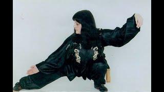 The World's Greatest Martial Artists Karen Schlachter