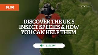 Discover the UK’s insect species & how you can help them