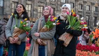 Амстердам весь в цветах