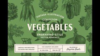 220 Vintage Vegetable Illustrations Graphic Download