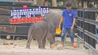 លំផាត់ Lomphat វគ្គ​អូនគេងអូនក្រោកអូនងូតទឹក