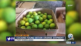 46 pounds of cocaine found hidden in shipment of oranges at Port Everglades