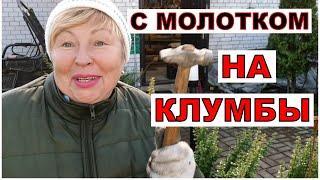 Вколочу это удобрение и забуду. Последние силы кинула - обрезаю, удобряю. Зачем и Чем?