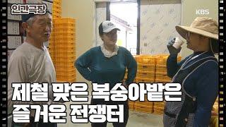 [한글이네 복숭아밭] (1/15) [인간극장/Screening Humanity] | KBS 230828 방송