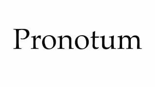 How to Pronounce Pronotum