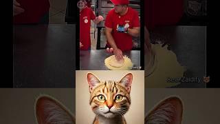 give this video title   (warning answer) #cat #meme #dance #trending