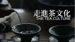 【茶文化系列01】一杯清茶品人生，走进茶文化，体验由繁入简