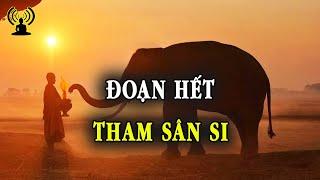 Khi còn mắc kẹt trong tham sân si, thì mọi con đường đều dẫn đến bất thiện nghiệp.