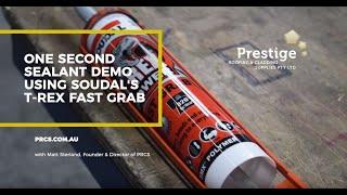 One Second Sealant Demo using Soudal's T-Rex Fast Grab