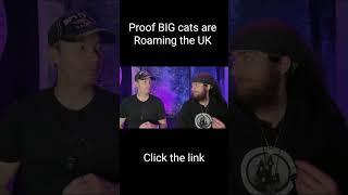 DNA proof that BIG cats roam the UK  #uk #cat #proof