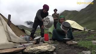 daily activity in the yak farm || Nepal || dolpa || lajimbudha ||