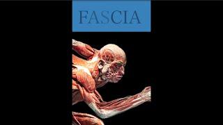 Fascia: The Body's Fascinating Functional Glue and how it relates to YOGA Nadis