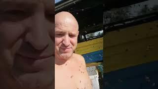 Что вы слышите?