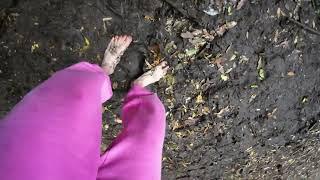 peaceful barefoot hiking in a lonely forest on a stormy day