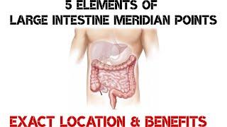 5 Elements of Large Intestine Meridian Points I  acu points #LargeIntestine