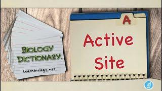 Biology Definitions | Active Site | Biology Dictionary | Defining Active Site