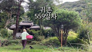 시골집에서 엉망진창 요리해먹는 40대 부부의 일상 브이로그 (feat. 하비앤데코 올인원 매트리스 커버)