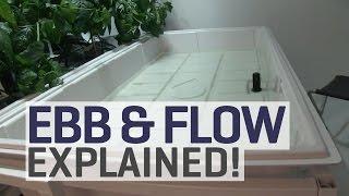 Ebb and Flow Hydroponics Explained!