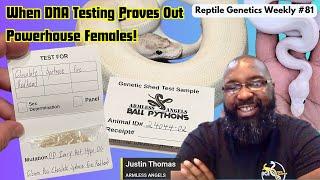 When DNA Testing Proves Out Powerhouse Females! ft. Armless Angels - RGW Ep 81