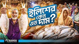 অর্থনীতিতে ইলিশের অবদান | Economy of Ilish | Hilsa Fish